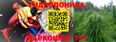 PSILOCYBIN Кимры