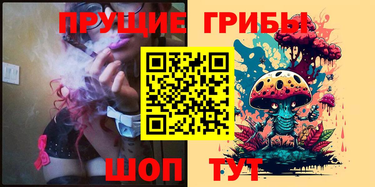 Псилоцибиновые грибы прущие грибы Курчалой