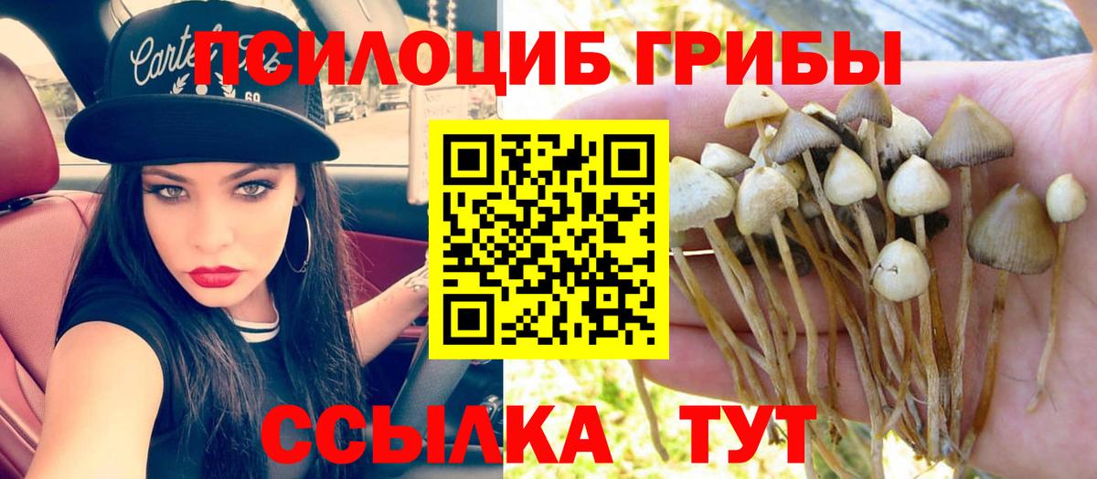 Галлюциногенные грибы Cubensis  Вход с VPN  Курчалой 
