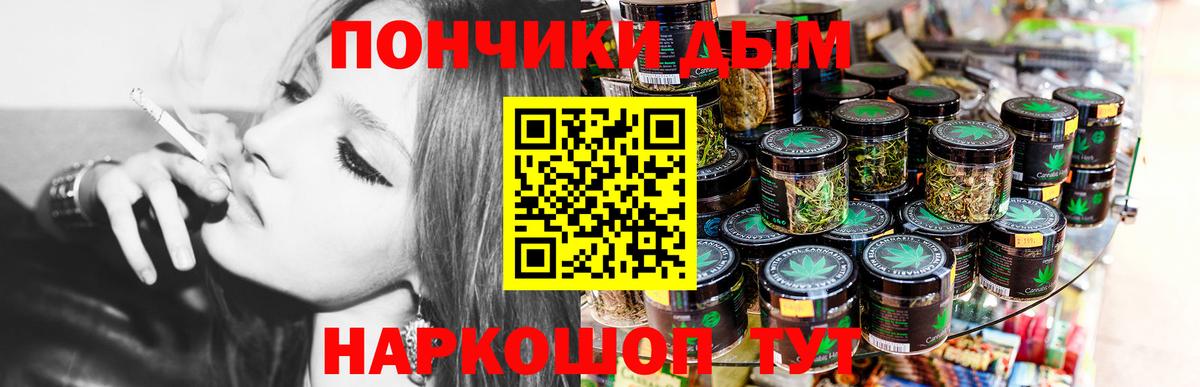 Курчалой  Марихуана сатива  Бошки марихуана план  Каннабис THC 21%  Вход с VPN 